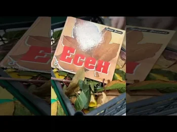 Ги истражуваме есенските бои - 14.10.2026 Ги истражуваме есенските бои - 14.10.2026